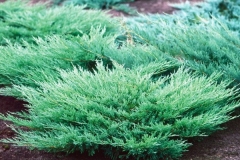 mozh.-gorizontalnyj-andorra-compact